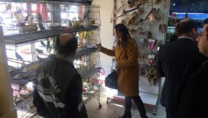 Aydın'da CITES kapsamında kaçakçılık operasyonu gerçekleştirildi