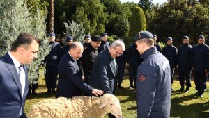 Bakan Soylu: "Hedef ölü sayısını 5 binin altına çekmek"