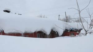 Bitlis'te evler ve araçlar kara gömüldü