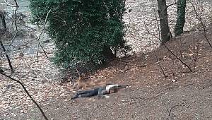 Böyle vahşet ne görüldü,nede duyuldu..