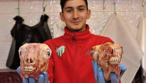  Canan Karatay gündeme taşıdı, vatandaş sakatatçılara akın etti