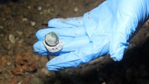 Definecilerin kazdığı tepeden kral tacı figürlü paralar çıktı