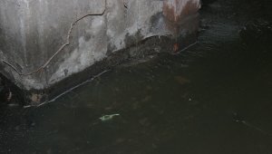 Depremin ardından binanın bodrum katı su aldı, belediye yetkilileri 'kendiniz boşaltın' dedi