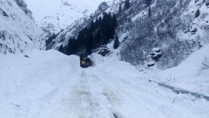 Doğu Anadolu'da çığ uyarısı