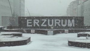 Doğu kar ve tipiye teslim