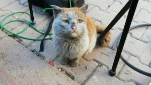 Enkaz altından başkanlık makamına