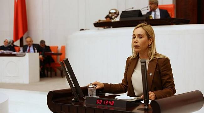 İYİ Partiden istifa eden milletvekili Çokal: "Partide hiyerarşik nezaket yok sayıldı"