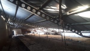 Karın ağırlığına dayanamayan ahırın çatısı çöktü