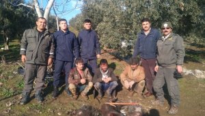 Koruma altındaki oklu kirpiyi avlayanlara rekor ceza