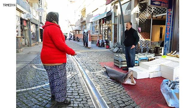 Marmara'da yakalandı: 3 metrelik dev