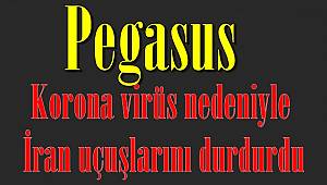 Pegasus korona virüs nedeniyle İran uçuşlarını durdurdu