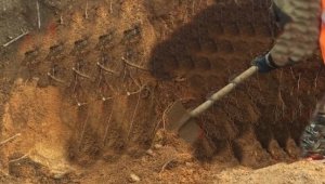 Rusya'da Kazı Sırasında Mafya İskeletleri Fışkırdı 