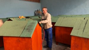 Sokak hayvanları ahşap kulübelerde yaşayacak