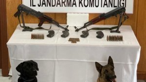 Muş'ta silah ve mühimmat kaçakçılarına operasyon