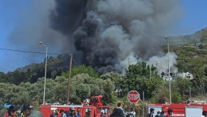 Sisam Adası'ndaki yangınzede göçmenler sokaklarda yatıyor
