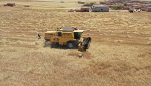 Barış Pınarında hasat sevinci