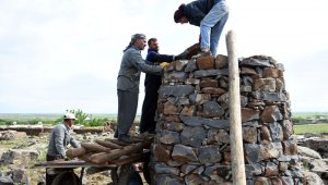 Leyleklerin sayısı artınca mahalleli yeni kuleler yapmaya başladı