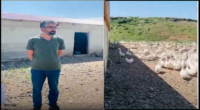 Ankara'dan Hınıs'a Kaz Çiftliği Serüveni