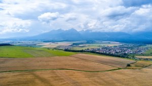 Beyaz yakalılar arazi yatırımına yöneldi