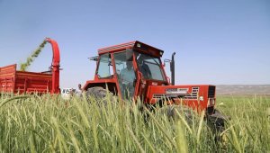 Çiftçilere 780 milyon lira hasar tazminatı ödenecek