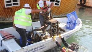 Denizden çıkanlar 'bu kadarına da pes' dedirtti