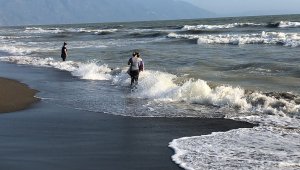 Hatay'da sahile çok sayıda ölü balık vurdu