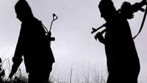 Şanlıurfa'da bir terörist teslim oldu