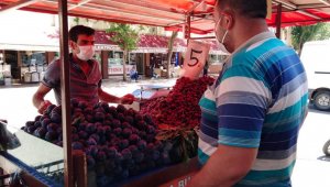 Şanlıurfa'da Erik ve Kiraza rağbet arttı