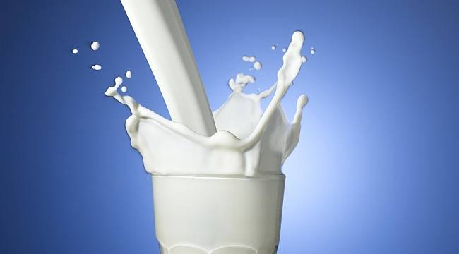 Süt sektörünün sürdürülebilirliği masaya yatırıldı