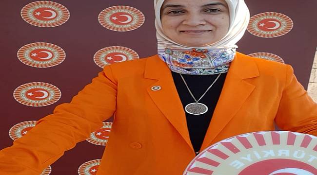 AK Parti Milletvekili Gürel'den "Baro" açıklaması