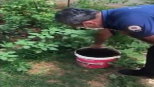 İstanbul'da uyuşturucu operasyonu: 6 gözaltı