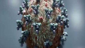 Şanlıurfa'da 93 ev karantinaya alındı