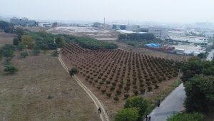 TOKİ'nin arsaları açık arttırma ile satışa çıkıyor