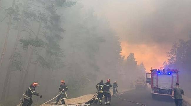Ukrayna'daki orman yangınında bilanço artıyor