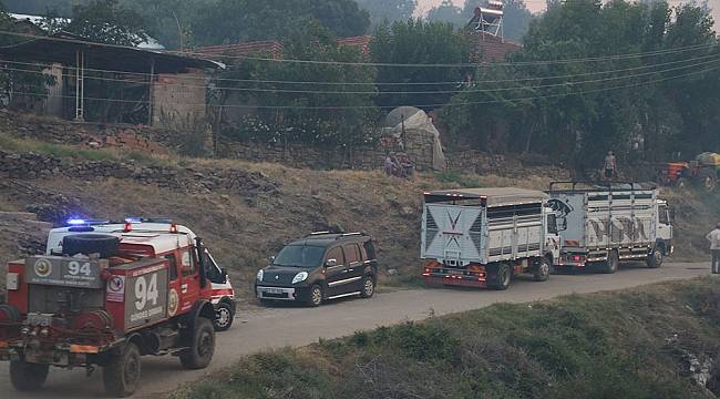 Ahmetli'deki orman yangınının hasar tespit çalışmaları başladı