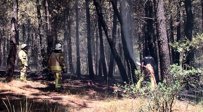 Aydos Ormanı'nda çıkan yangınla ilgili bir kişi gözaltına alındı