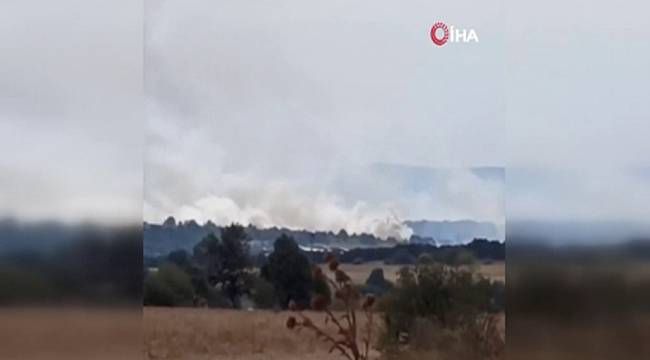 Bulgaristan-Türkiye sınırında orman yangını