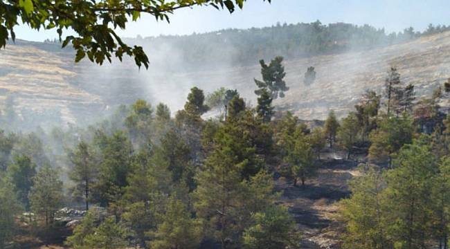 Halfeti'de çıkan orman yangını 16 saatte söndürüldü