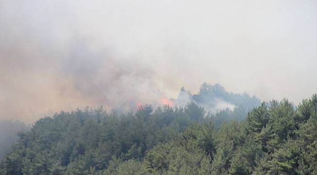 İzmir'deki orman yangınında alevler mahalleyi tehdit ediyor