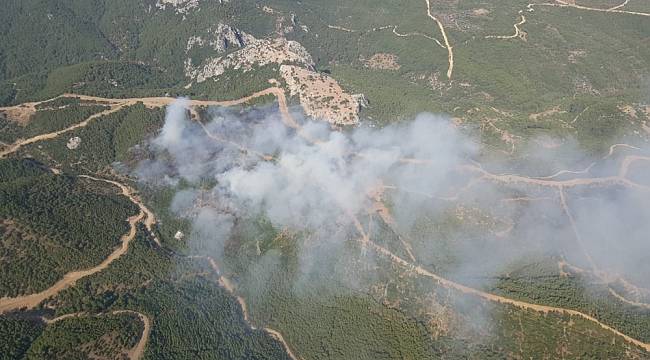 İzmir'in Menderes ilçesinde orman yangını