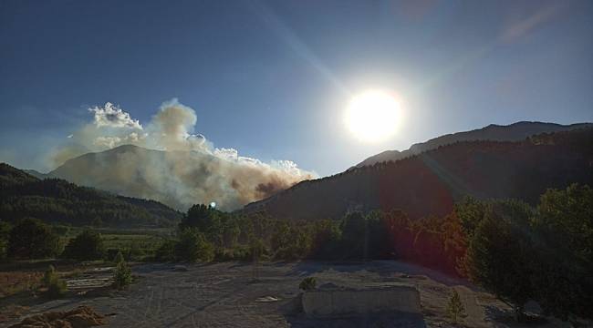 Kahramanmaraş'ta orman yangını 7 hektar alan zarar gördü