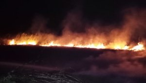 Kopan elektrik telleri bahçede yangın çıkardı