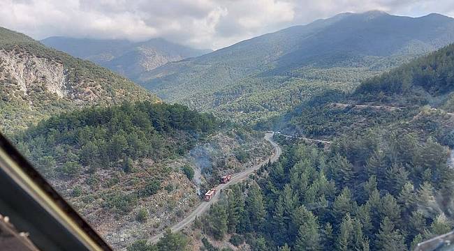 Arsuz'da orman yangını