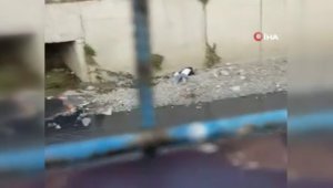 Bahçelievler'de gasp dehşetindeki bir şüpheli yakalandı