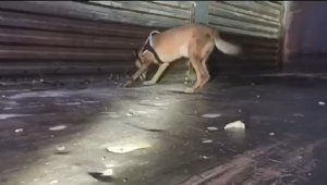 Bahçelievler'de silahlı saldırı: 5 yaralı