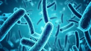 Enfeksiyon deyip geçmeyin