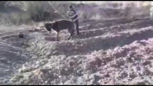 Biri işkence yaptı, diğeri kameraya aldı