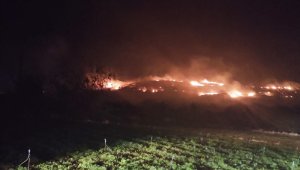 Hatay'da tarihi turistik bölgede yangın