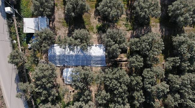 Lahit tarlası işte böyle korunuyor
