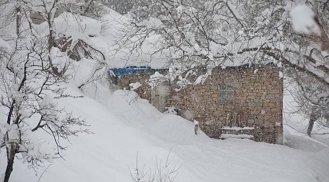 Şırnak'ta ev ve araçlar kar altında kayboldu